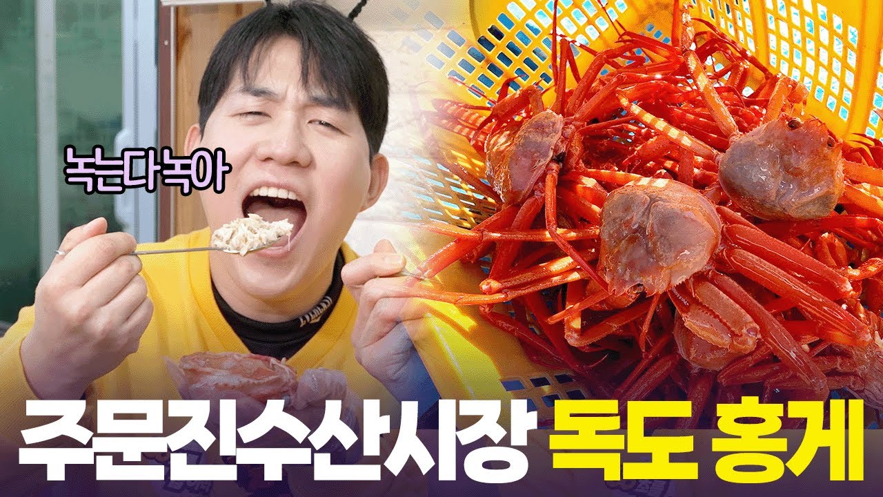 문어, 밀복, 홍게 🦀 주문진 수산시장에 동해  수산물 다 모였다 [6시 내고향] | KBS 260116 방송