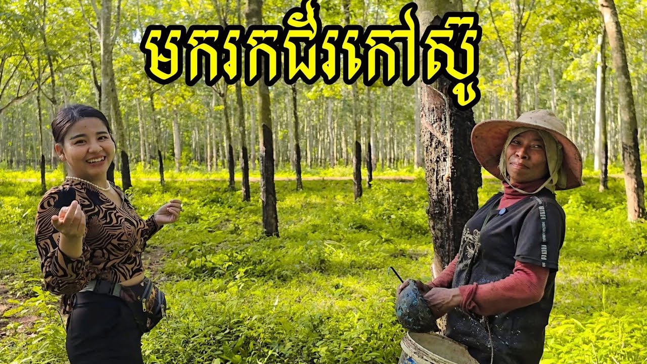 202.អំណោយ(44/58)លោកពូ ង៉ូវ គុយកាវ (9/13)អ្នកមីង វុត្ថារី Life in the Cambodian Countryside.