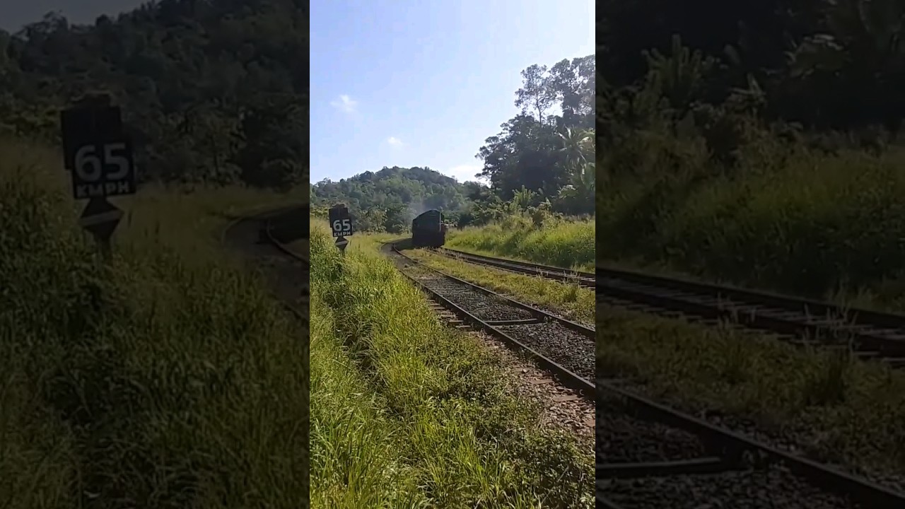 Indian WDM2 Diesel Locomotives in Sri Lanka 🇱🇰 | #wdm2 #diesellocomotive #dieselengine #srilanka 🛤️