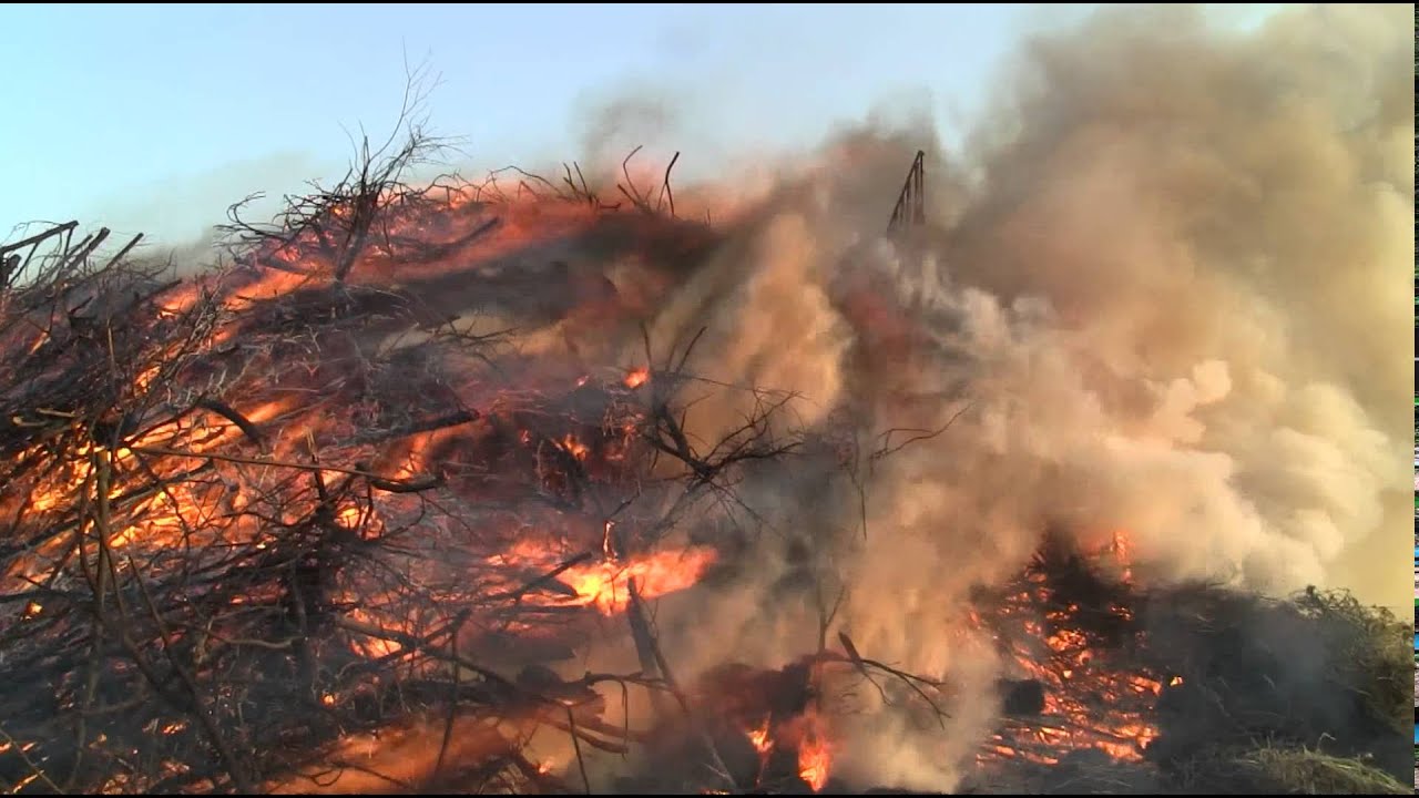 Osterfeuer am Wangermeer in Hohenkirchen