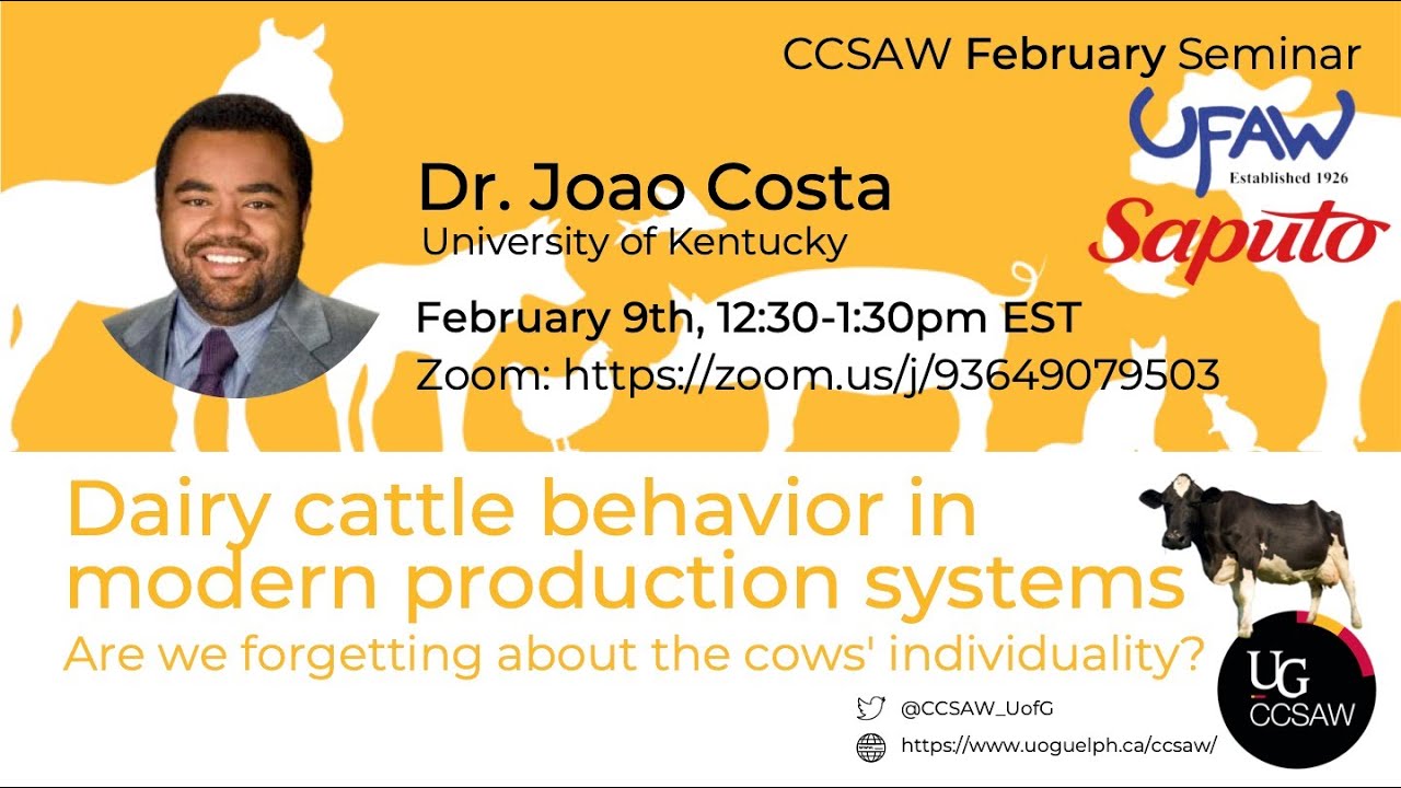 Dairy cattle behaviour in modern production systems | Dr. João Costa