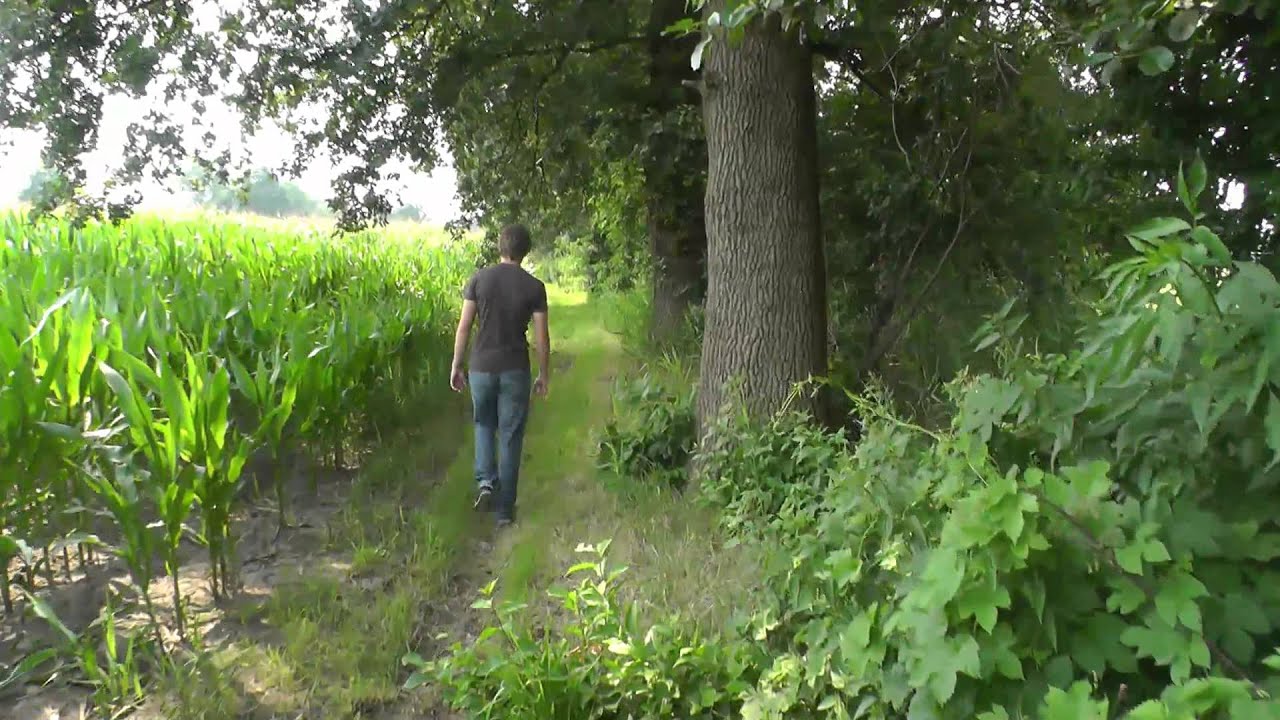 Pad rond de Zoandweg Oosterwolde doorsteek Winterdijk - begraafplaats.