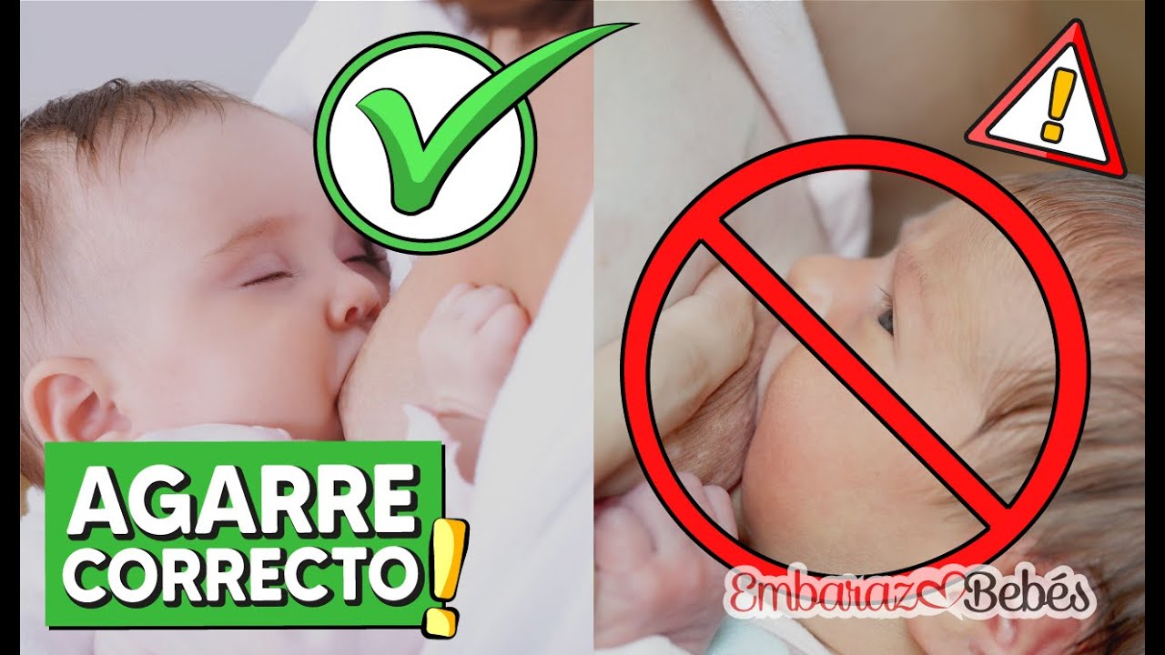 👌🏻💦 C&oacute;mo AMAMANTAR a un RECI&Eacute;N NACIDO: Paso a paso