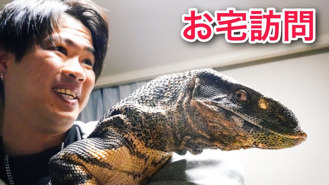 爬虫類マニアのお宅に遊びに行ったら飼育生体がヤバすぎた！！