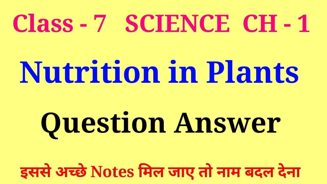 nutrition in plants class 7 questions and answers | class 7 science chapter 1 question answer