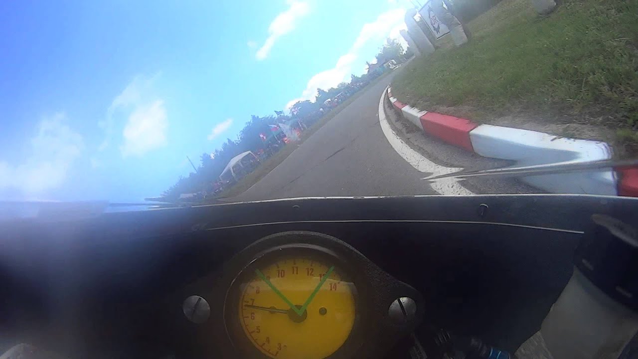 300 Curves of Gustav Havel