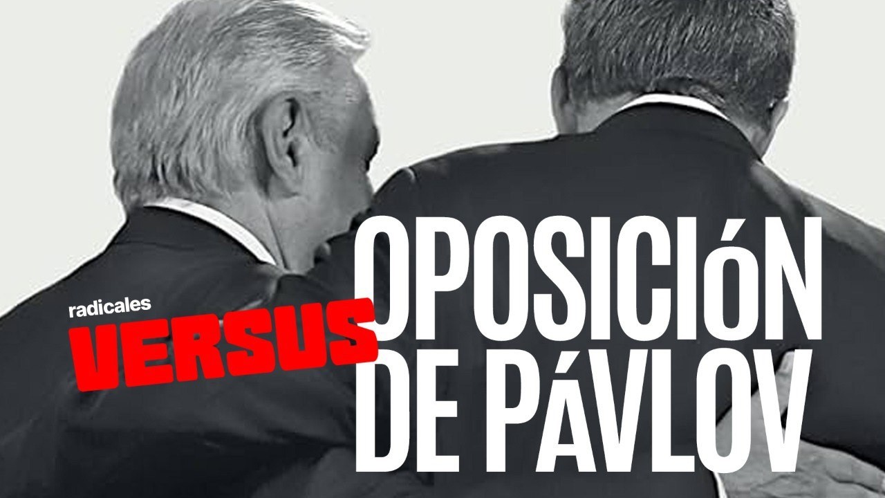 #Versus ¬ Episodios como el de Scherer Ibarra hacen salivar a la oposición