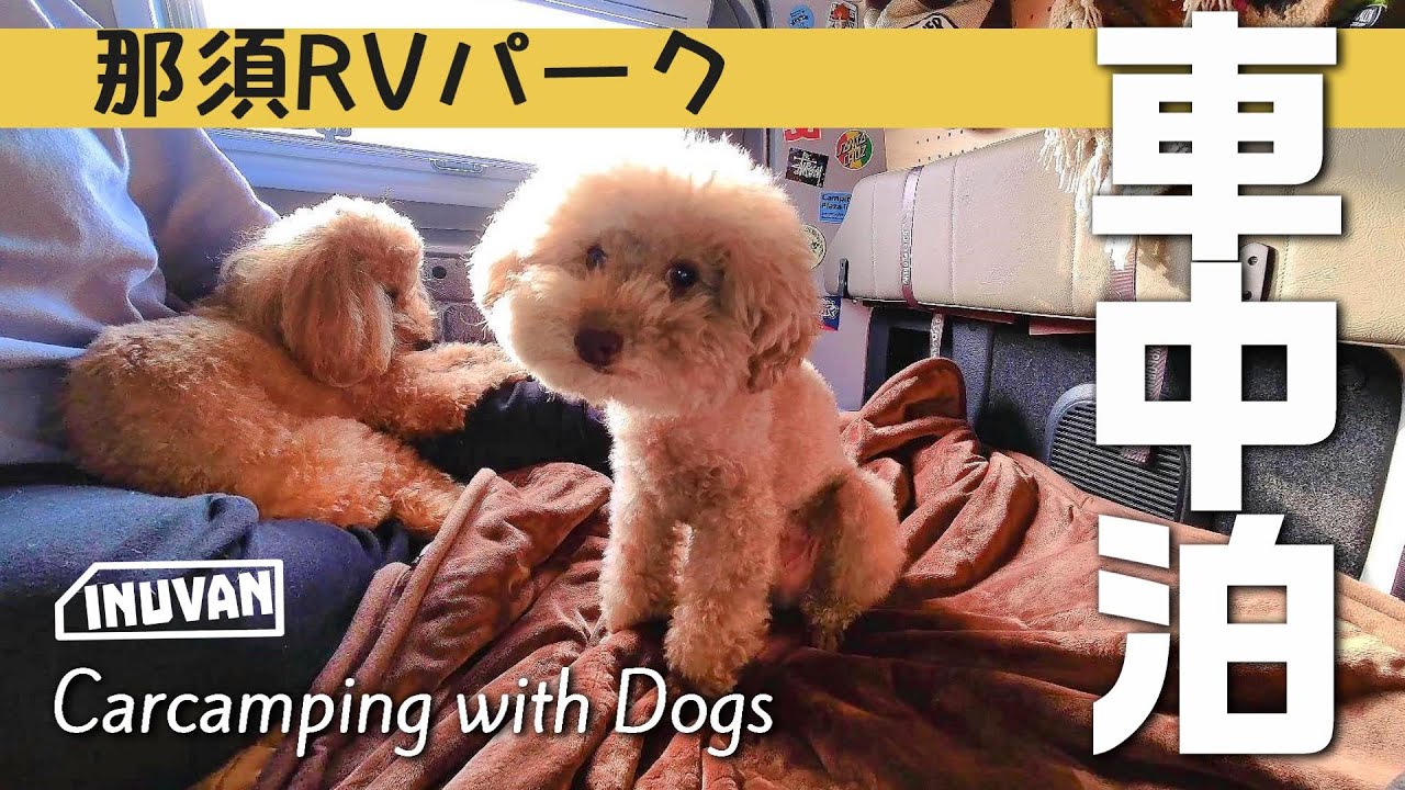 【車中泊】RVパークでわんこ車中泊 那須高原のグルメで食い倒れの車中泊犬旅｜INUVAN LIFESTYLE