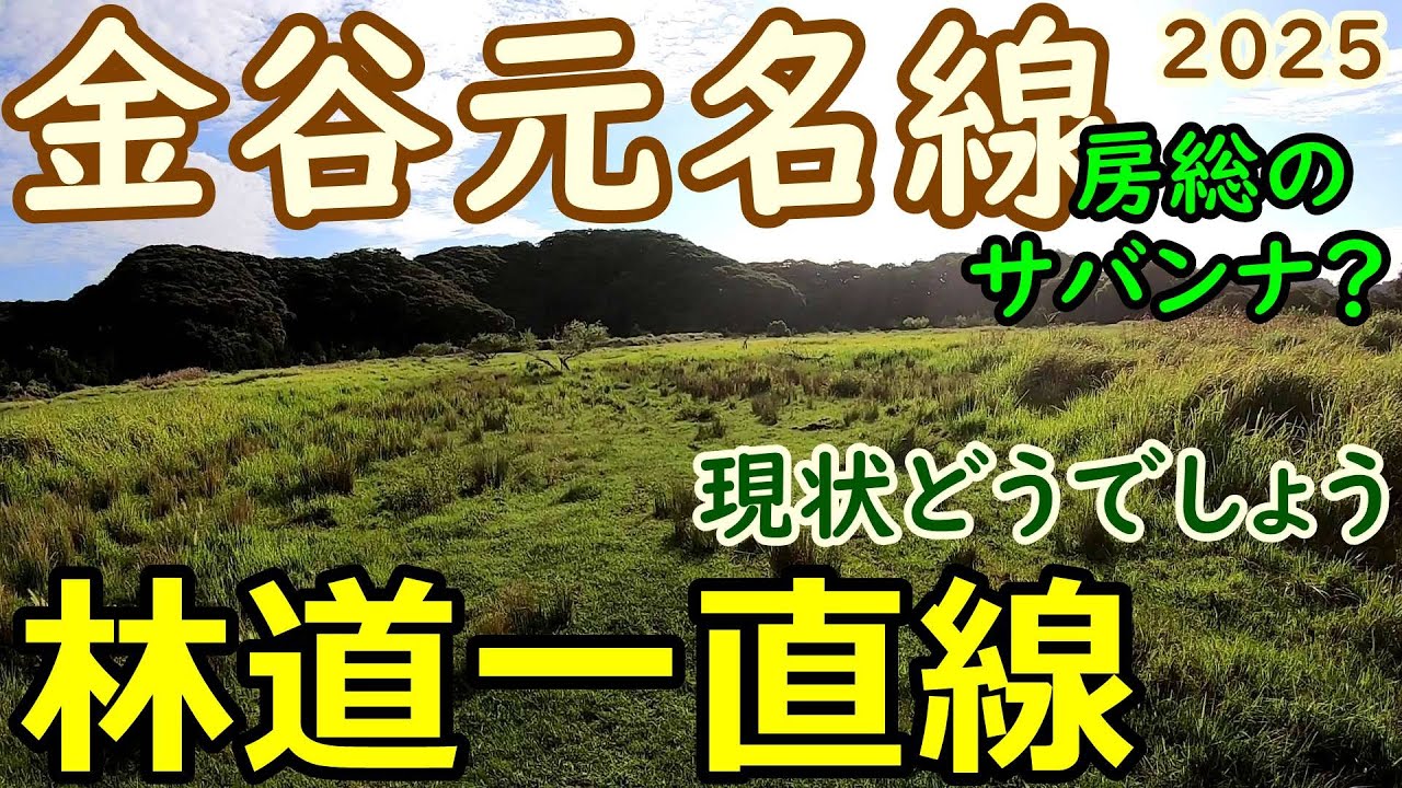 【林道一直線】　千葉　林道　金谷元名線