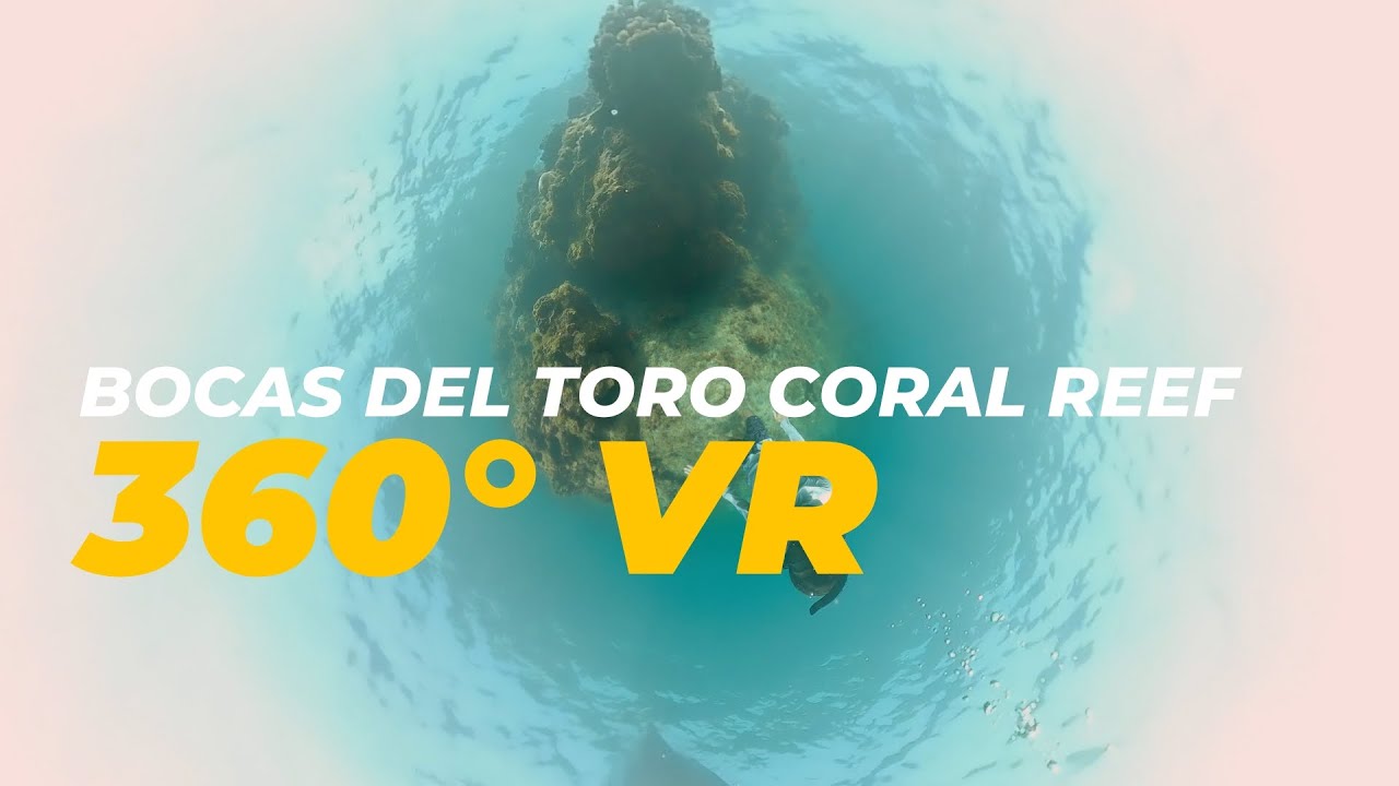 Exploring Bocas del Toro, Panama: VR Coral Reef Experience