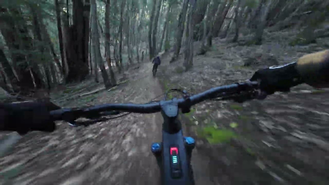 Soquel Demonstration State Forest Flow Trail segment 1,2,3 ⚠️ 