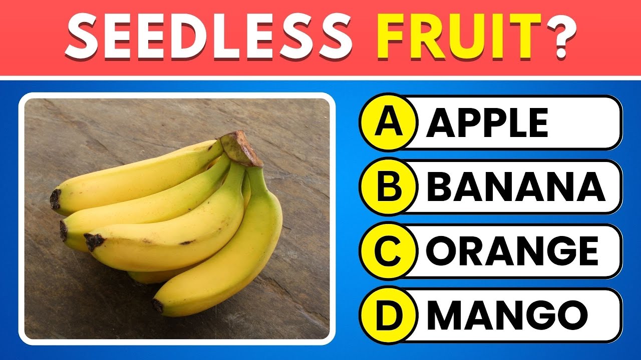 40 Questions to Prove You're a Genius! General Knowledge Quiz 🎓
