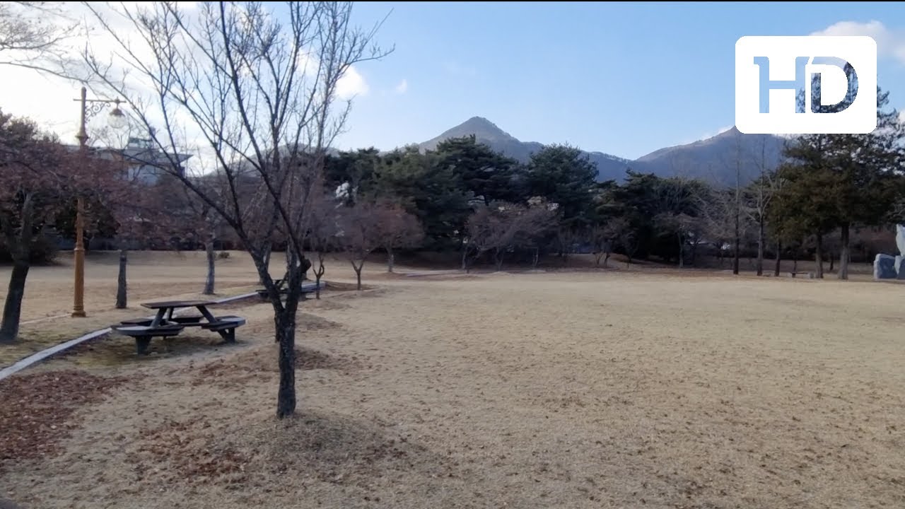 ❄️ -7°C Winter Walk Around Daejeon National Cemetery | Outdoor ASMR (Light Traffic Sounds)