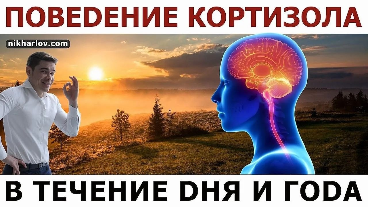 Как свет Солнца регулирует кортизол, циркадный ритм. Зимняя депрессия и сезонность уровня кортизола.