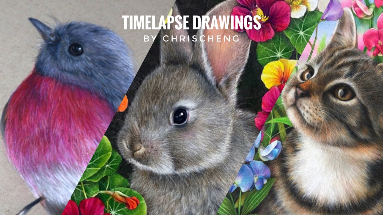 TIMELAPSE DRAWING - Bird, Rabbit, Cat and Flowers // CHRIS CHENG