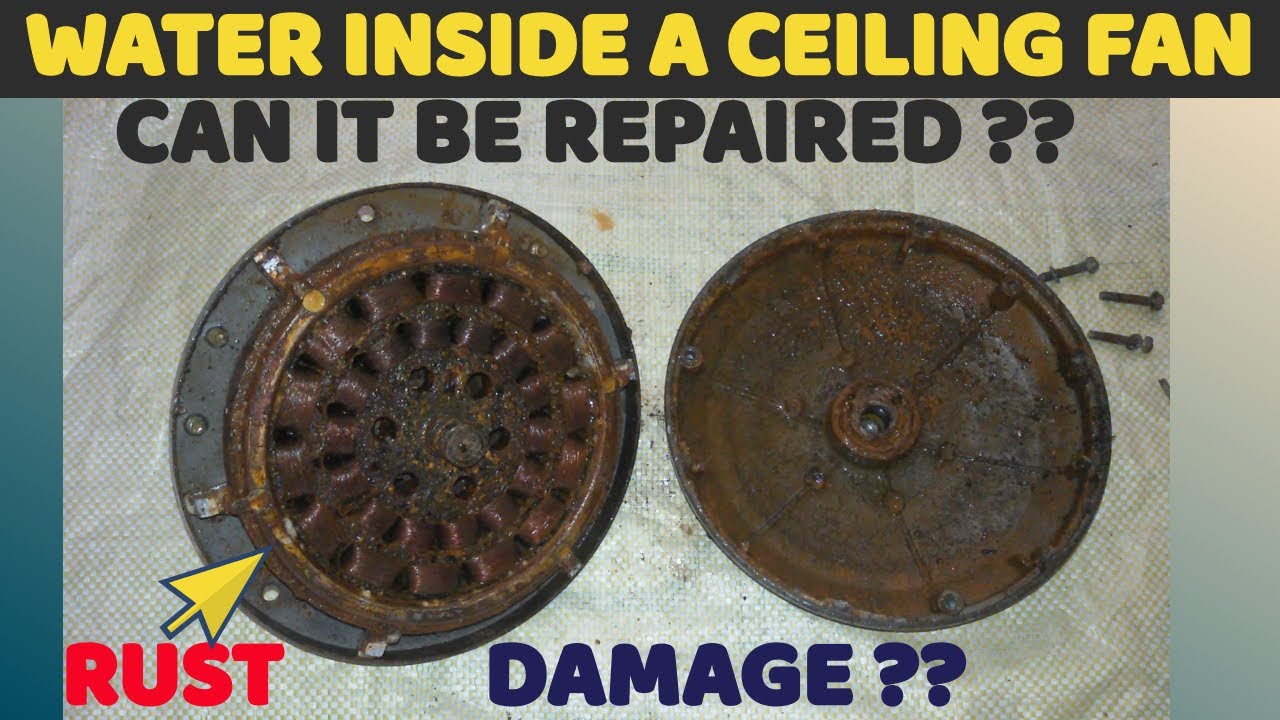 Water inside a ceiling fan | water damaged ceiling fan | can we repair a water damage ceiling fan
