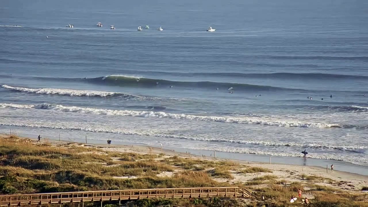 Fun Surf at the Shark Bite Capital of the World