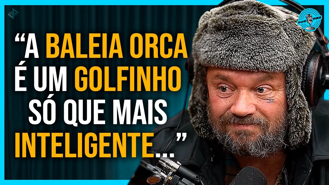 A BALEIA ORCA É ASSASSINA?