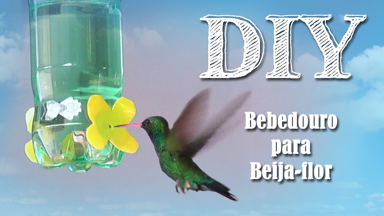 DIY Bebedouro para Beija-flores