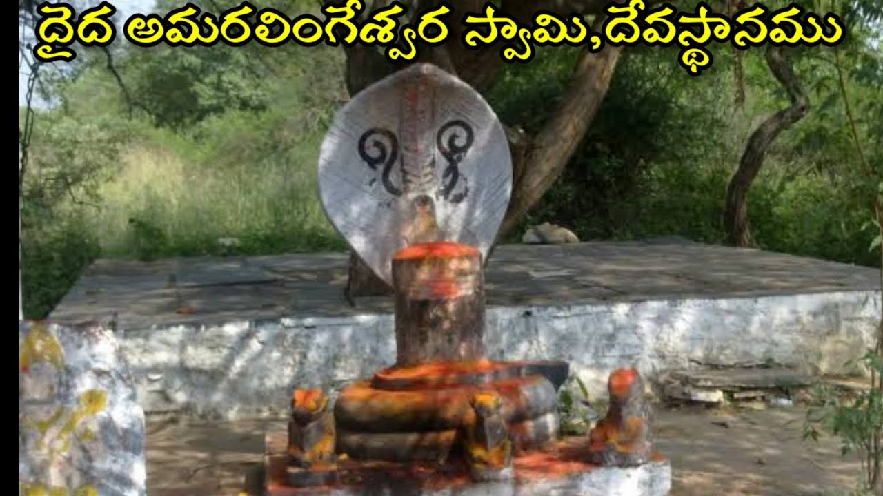 దైద  బిల అమరలింగేశ్వర స్వామి(daida bilam)