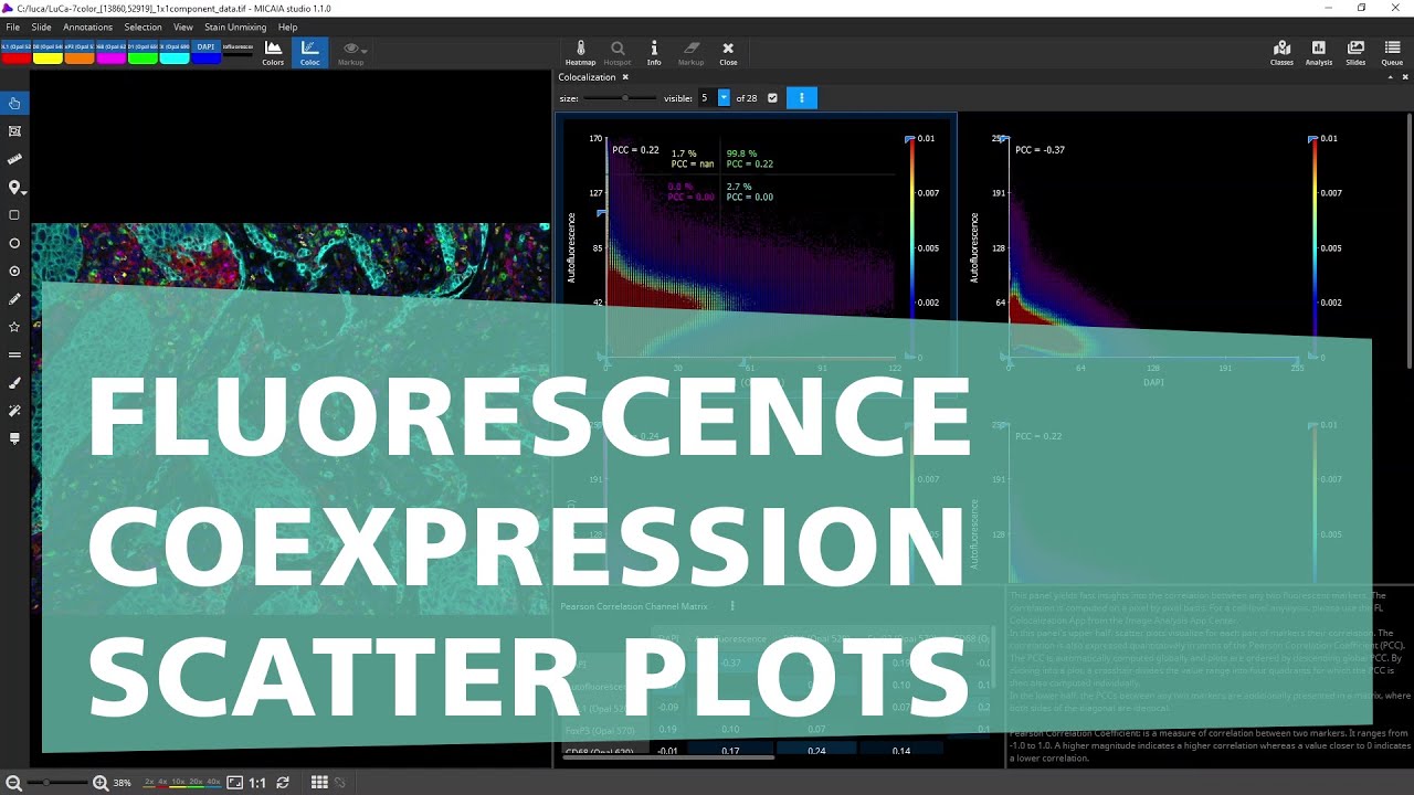 MIKAIA® studio Fluorescence Coexpression Scatter Plots