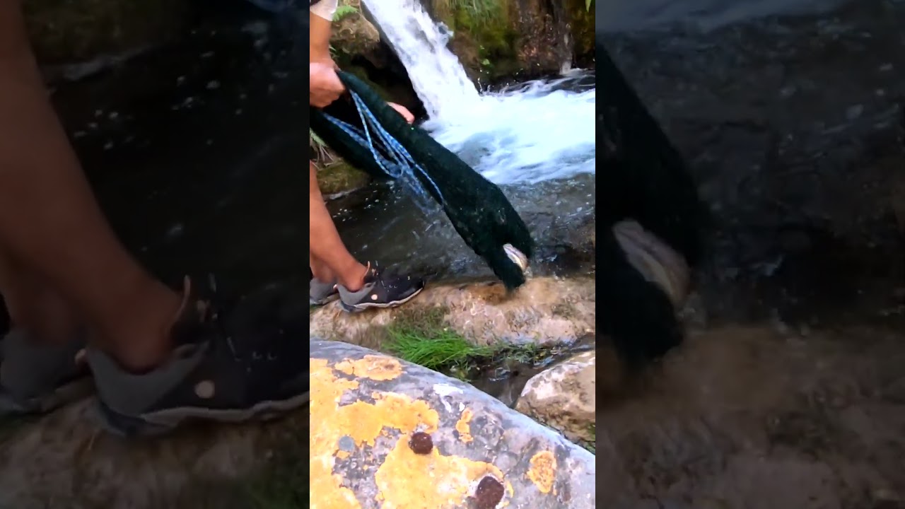 Pesca de Truchas con Atarraya