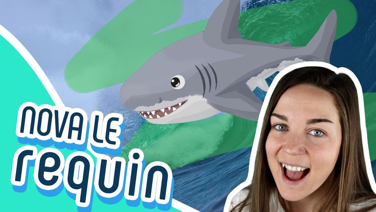 LES AMIS MARINS | Nova, le petit grand requin blanc
