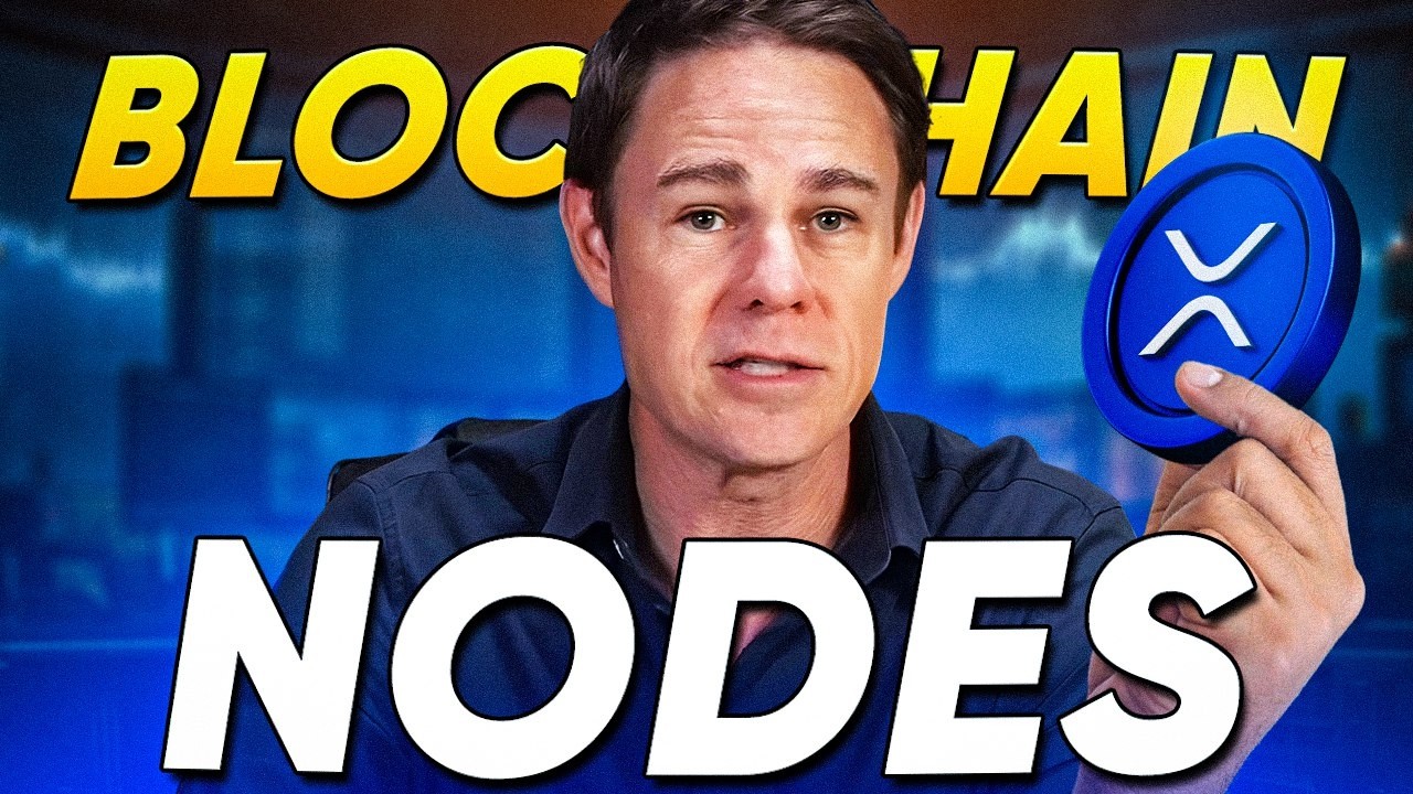 XRP Ecosystem Explained | How the Network Is Evolving in 2025