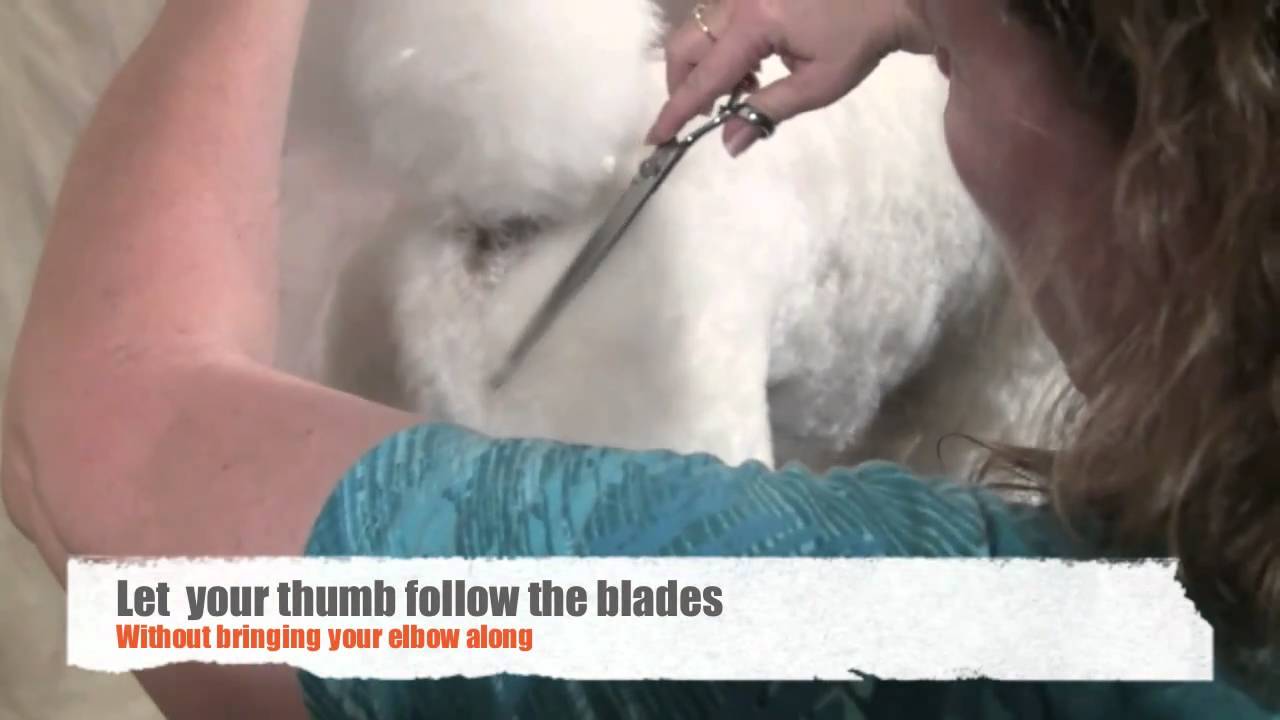 Sensei Grooming Shears