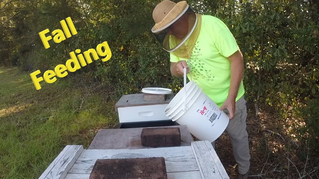 Feeding Bees for Winter