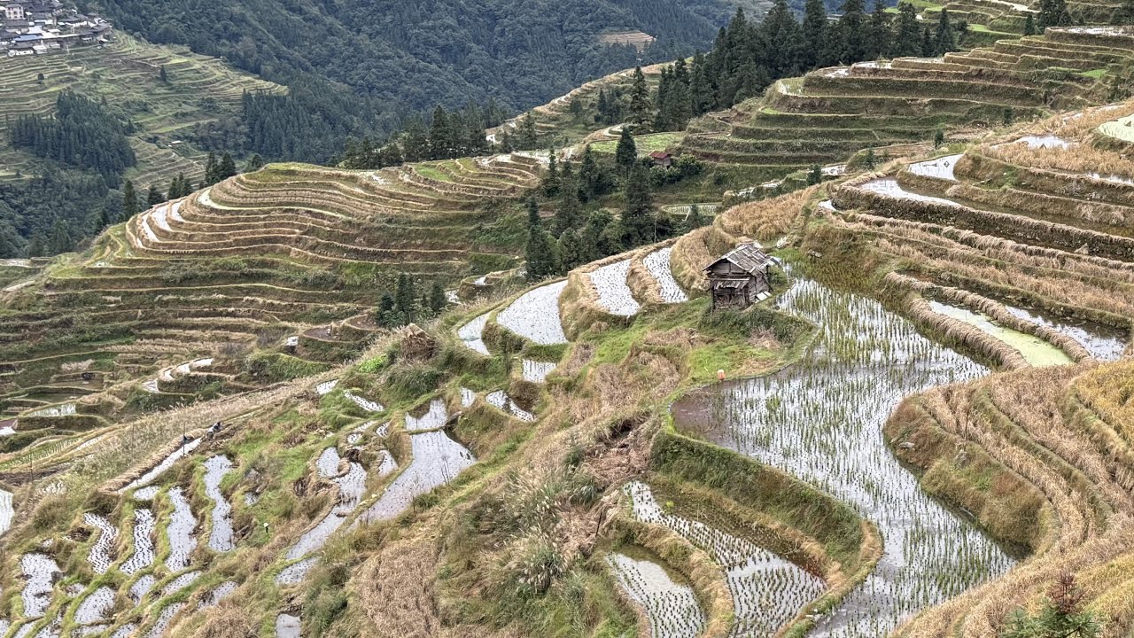 貴州 Day 4 Part 1 加榜梯田