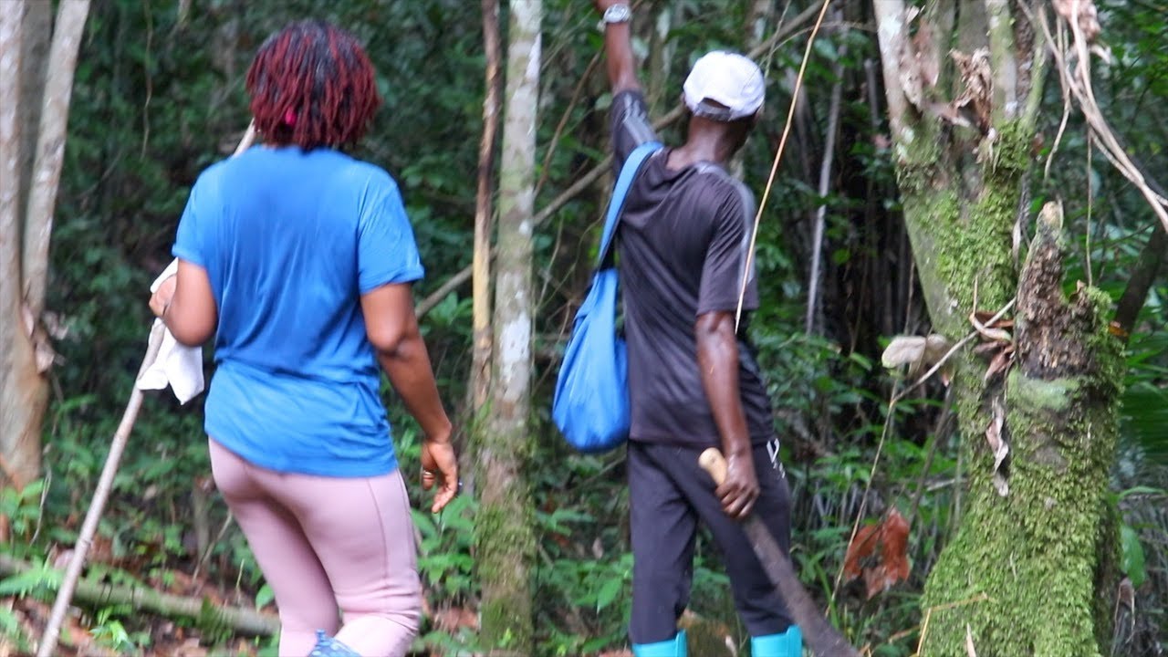 QUEENDOM FARM 🌱 UPDATE ON THE PATH AROUND THE FARM 🌱   | LIBERIA 2023 | HelenasQueendom