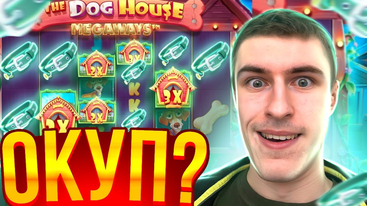 ЭТО ОКУП? ПОКУПАЮ БОНУСКИ В THE DOG HOUSE MEGAWAYS ( ШОК! )