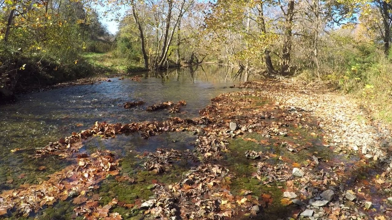 Exploring the Very Upper reaches of the Roanoke River