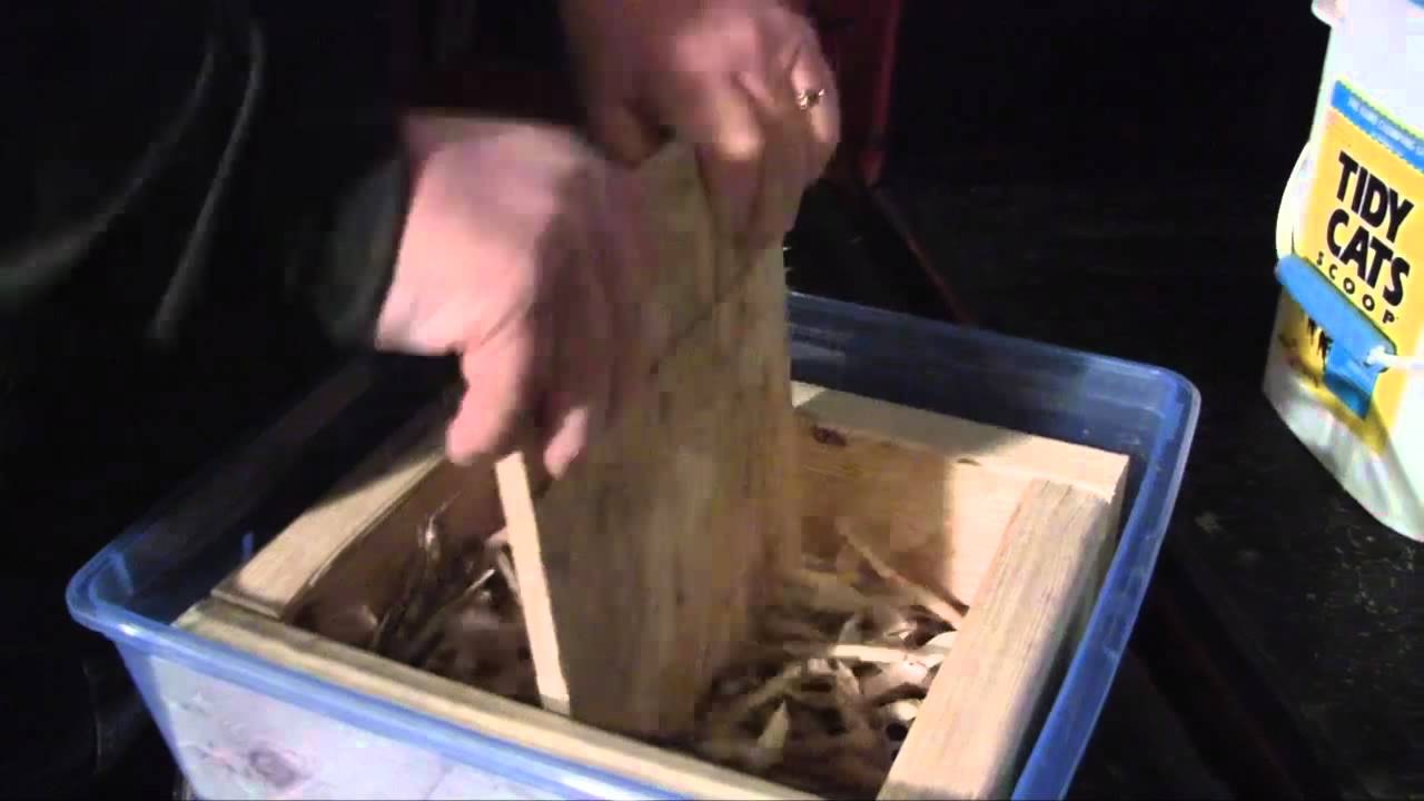 Dry Edible Bean Sheller for Less than thirty dollars