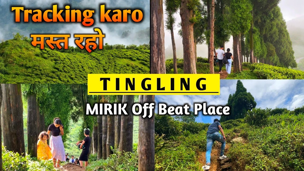 Tingling View Point Mirik | Tingling | Siliguri to Tingling |