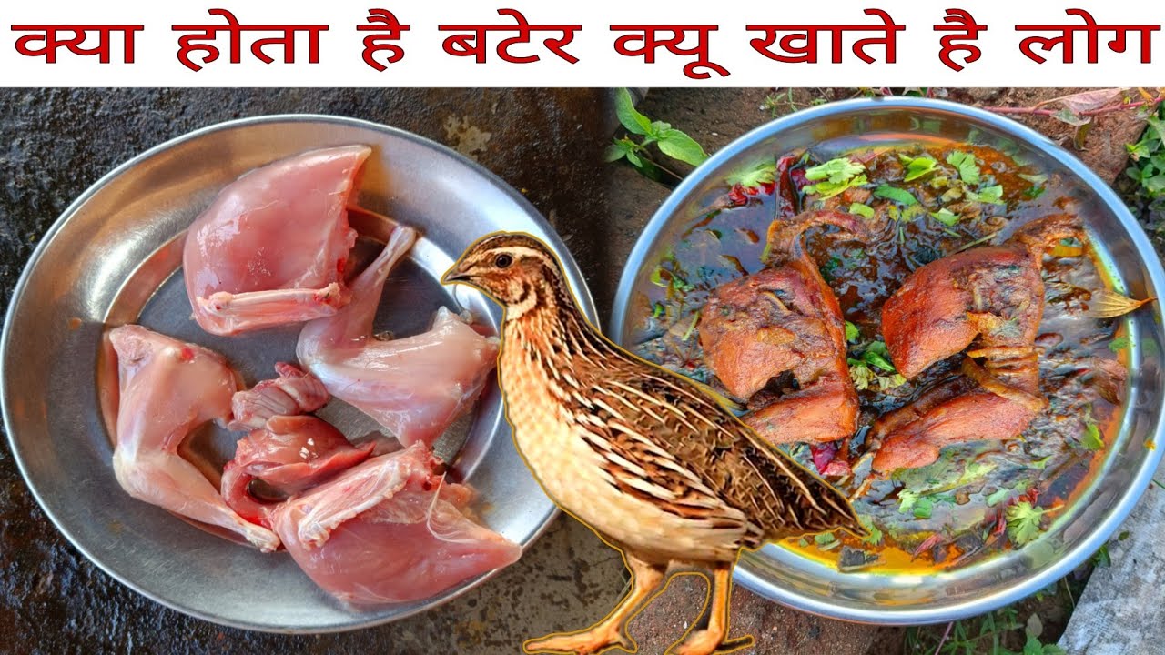 मांसाहारी होकर बटेर नहीं खाया तो क्या खाया | खाते ही लोग कपड़े उतार देते हैं | Bater/Quail Recipe