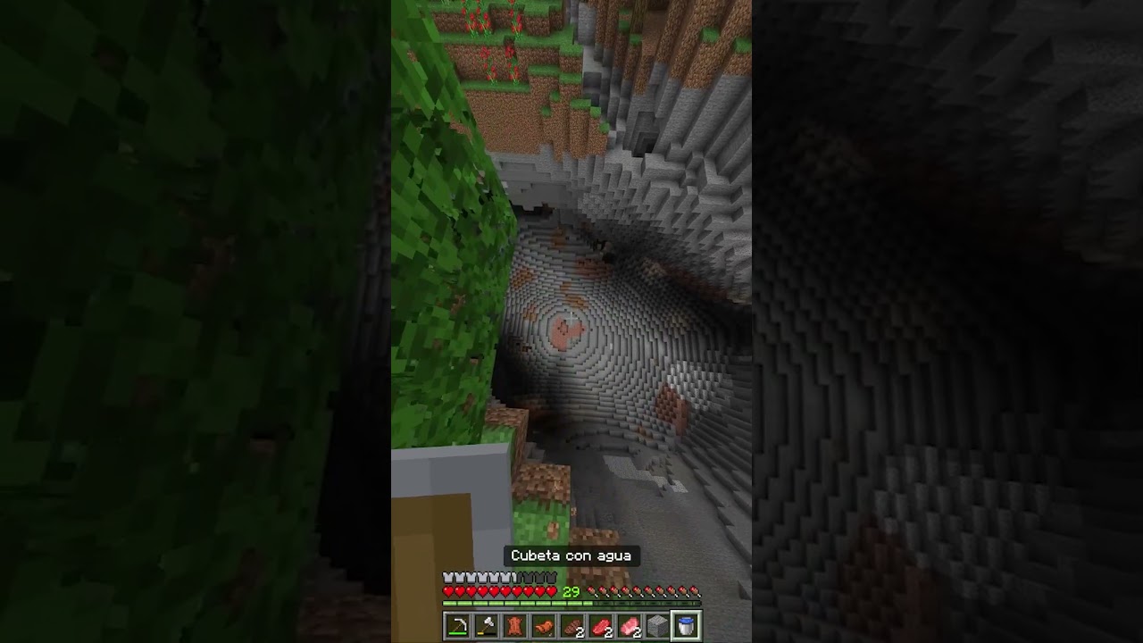 No, no me gusta bedrock #minecraft #minecraftshorts #humor #humorviral #bromas #version #perro