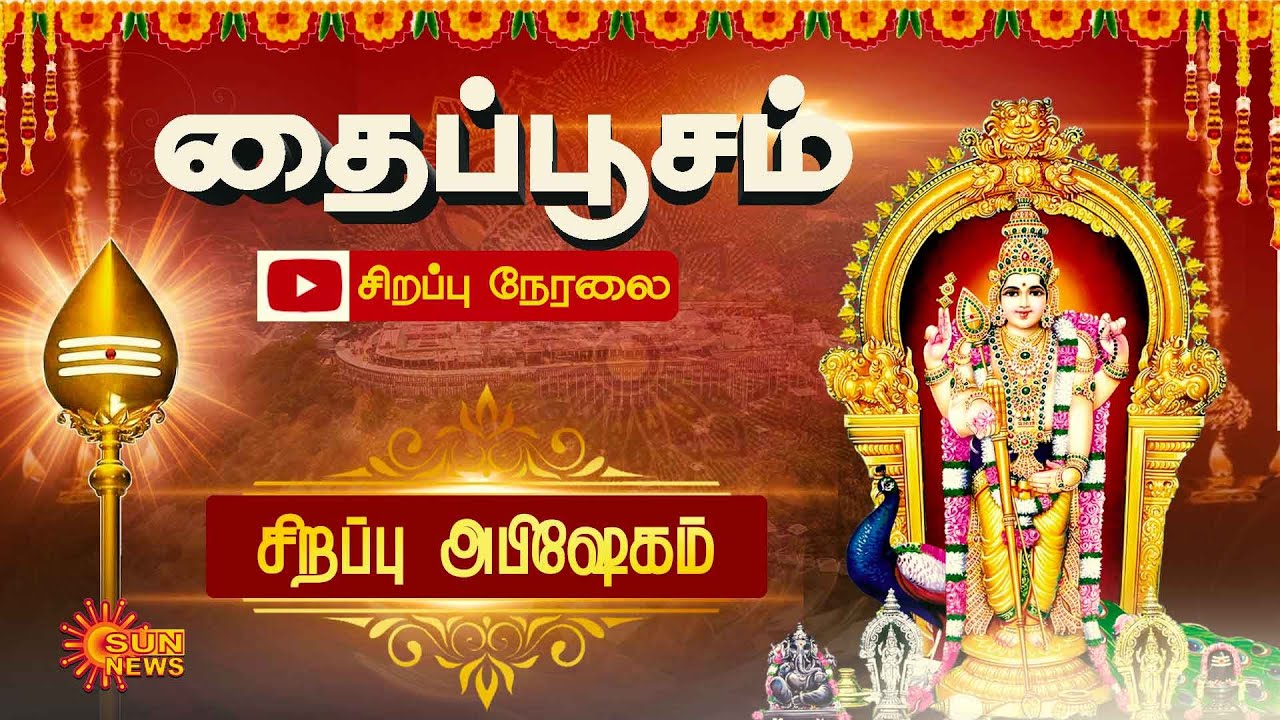 🔴LIVE : Thaipusam 2024 | அறுபடை வீடுகளில் இருந்து தைப்பூச திருவிழா.. | Murugan Temple | Sun News
