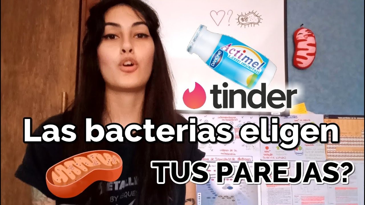 ¿Qué tienen en común Tinder y los probióticos?