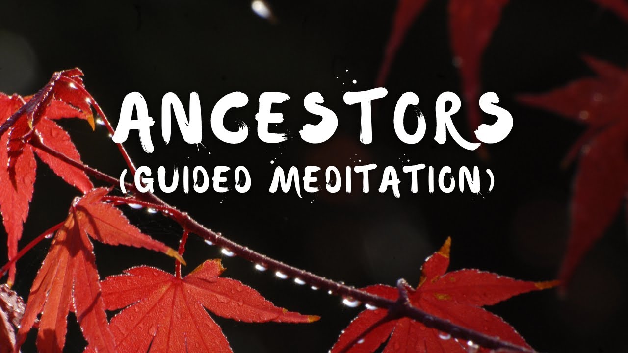 Ancestors: Connecting to Our Roots | Meditation guided by Brother Phap Huu