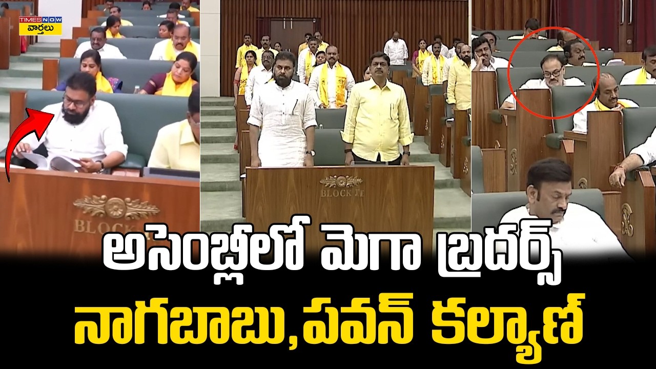 అసెంబ్లీలో మెగా బ్రదర్స్ || Naga Babu and Pawan Kalyan Together in AP Assembly || Ys Jagan