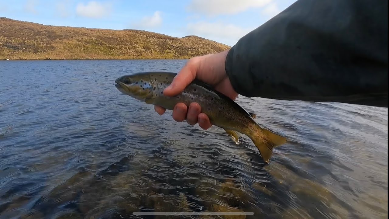 Action Packed Hill Loch Trout Fishing!!