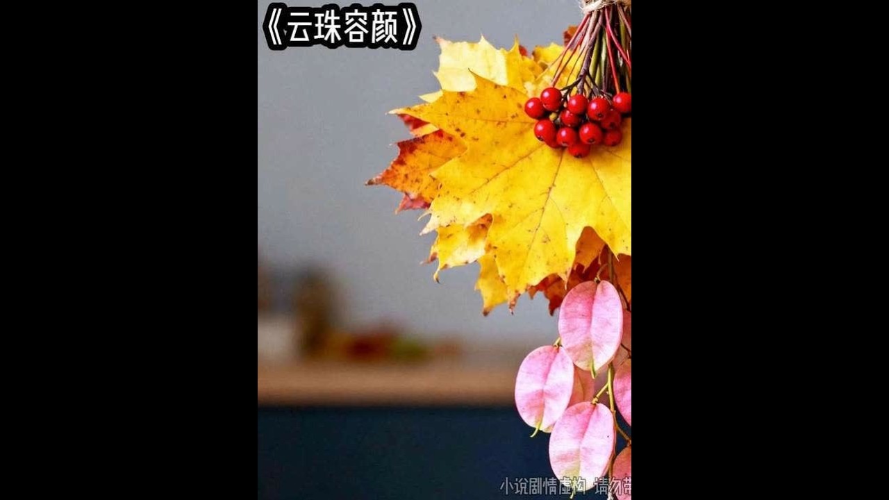 云珠容颜 #文荒推荐 #炒鸡好看小说 #适合女生看的小说推荐