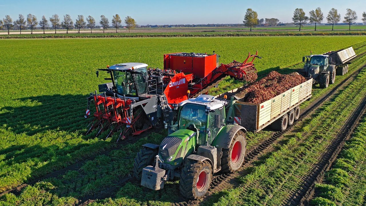 XXL Harvest Special | Franzen Agriculture | Картофель и морковь | Посадка тюльпанов и пшеницы