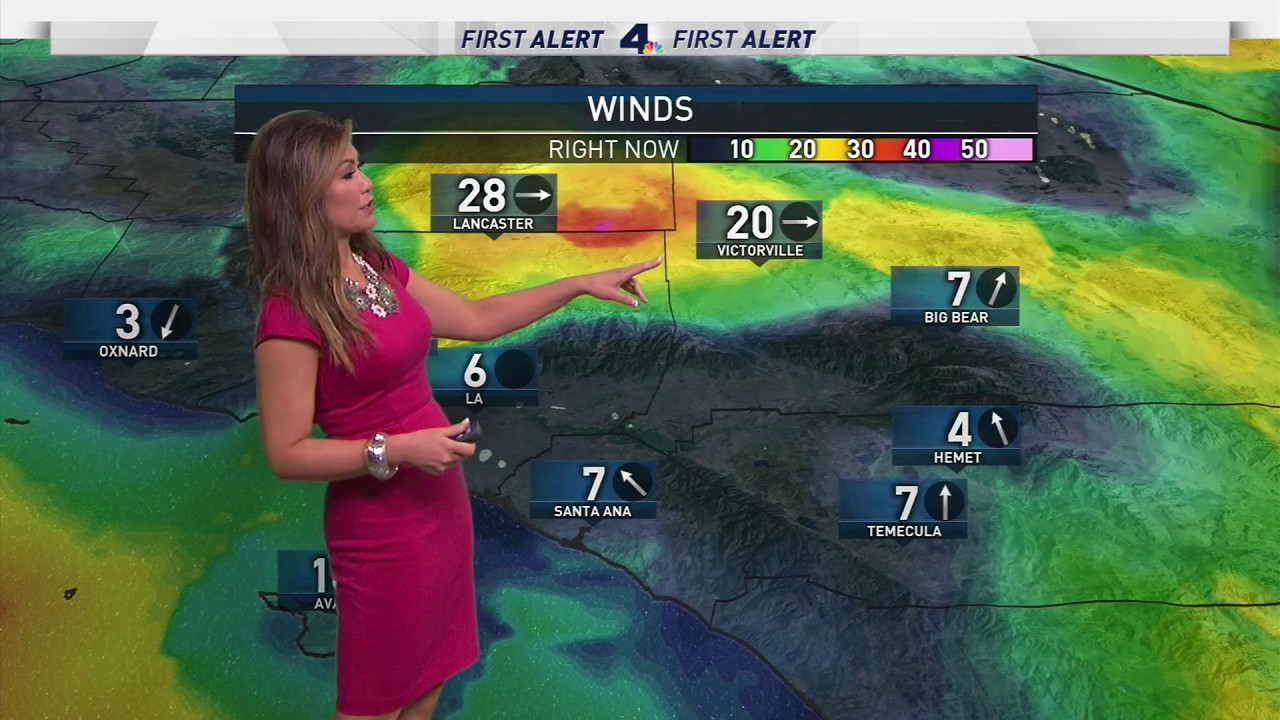 Kimi Evans Weather & Traffic Reel