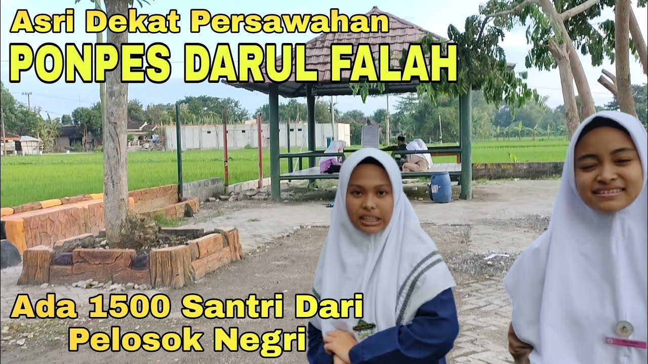 Pon Pes Darul Falah - Adem Ayem Dekat Persawahan - Ribuan Santri Mengaji Di Sini
