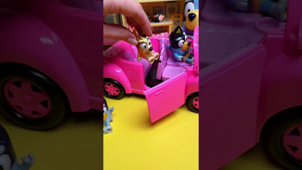 Satisfying with Unboxing & Review Bluey Toys Videos