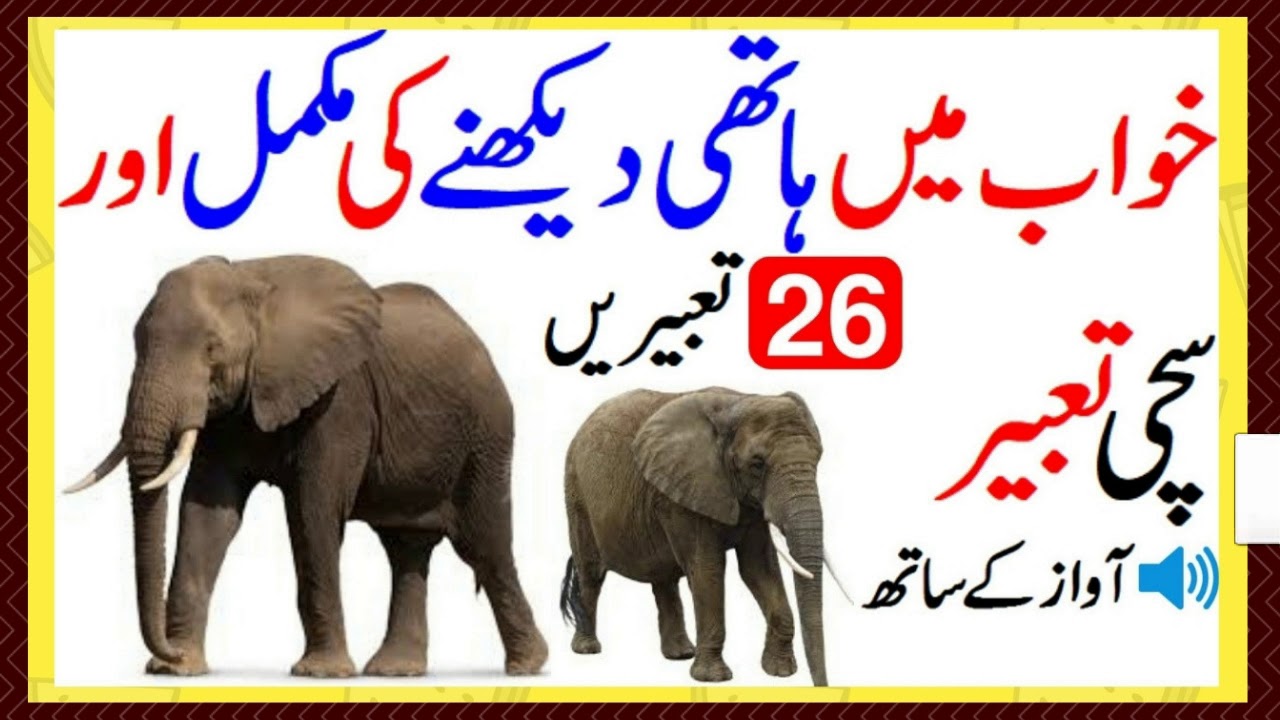 khawab me hathi dekhna ki tabeer in urdu khwab mein hathi dekhna kaisa