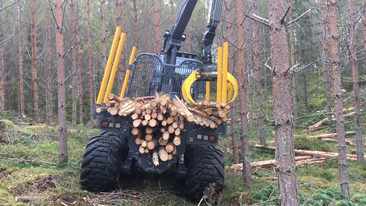 Gallring med Rottne H8D och Rottne F10D